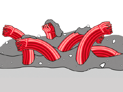 Entrémattor